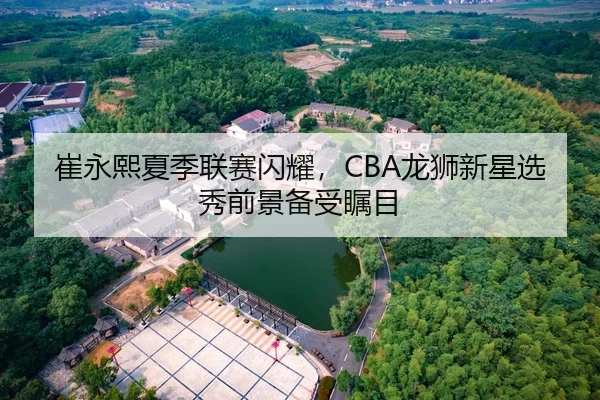 崔永熙夏季联赛闪耀，CBA龙狮新星选秀前景备受瞩目
