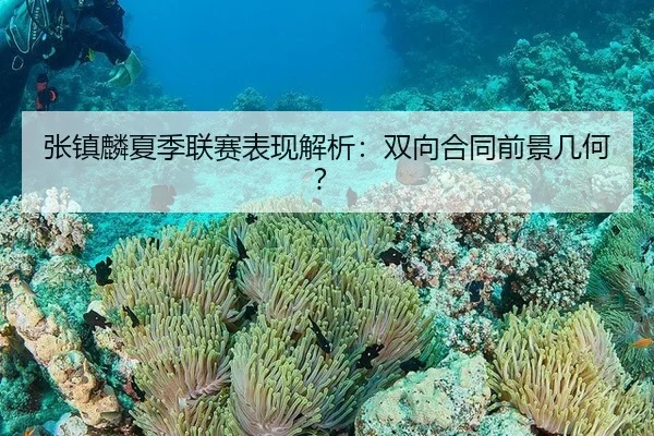 张镇麟夏季联赛表现解析：双向合同前景几何？