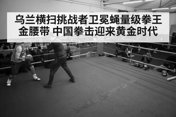 boxer training gym