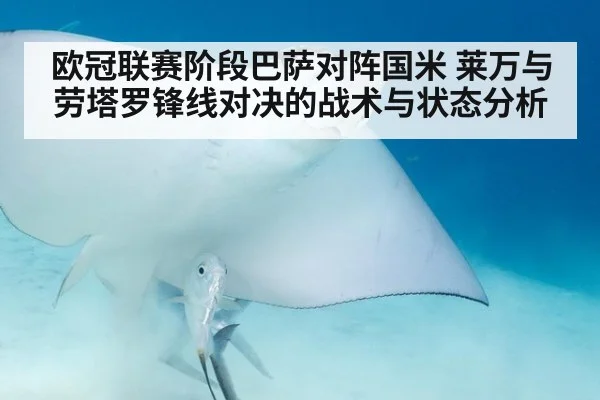 欧冠联赛阶段巴萨对阵国米 莱万与劳塔罗锋线对决的战术与状态分析